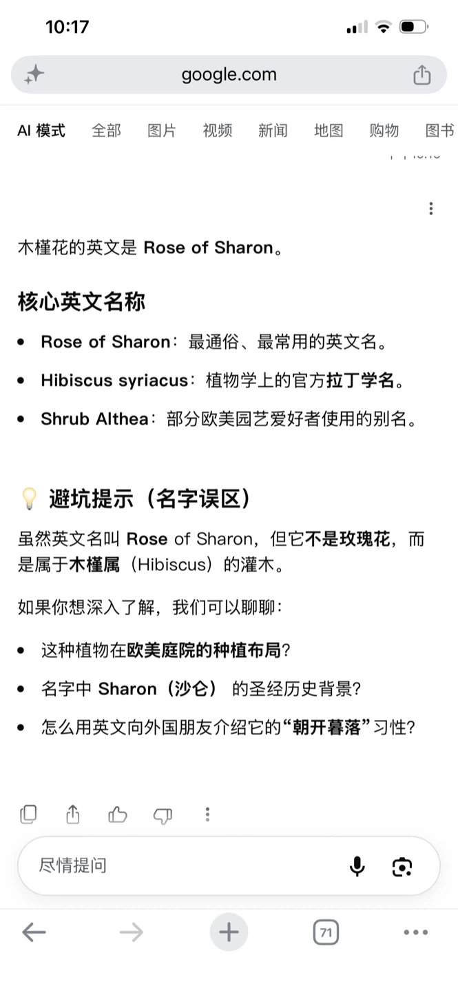 Rose of Sharon plants