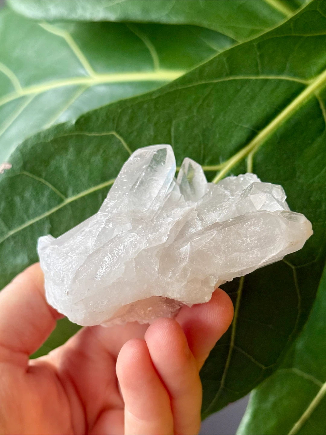 Brazilian Clear Quartz Terminated (6) Crystal Cluster