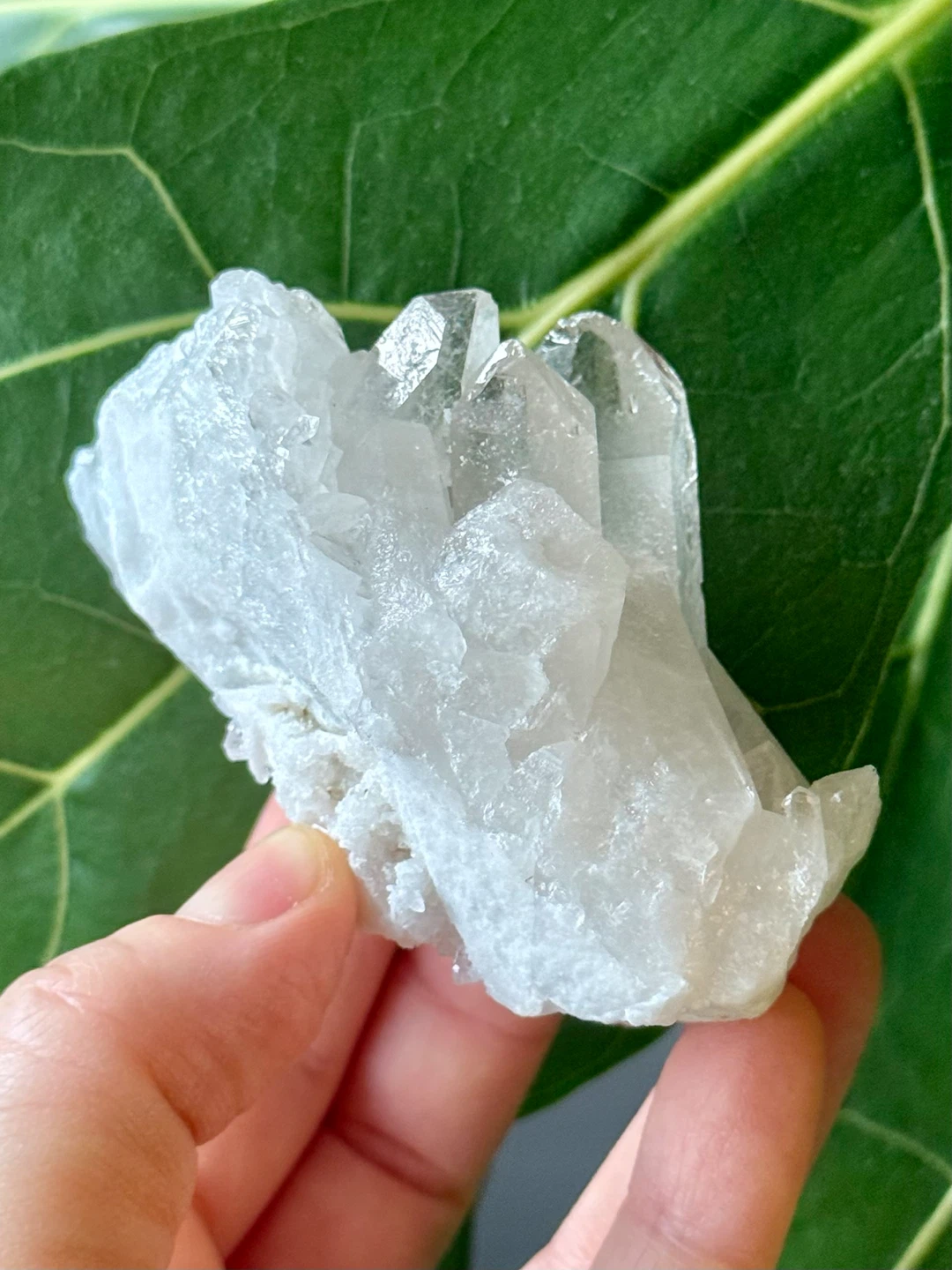 Brazilian Clear Quartz Terminated (6) Crystal Cluster - photo 3