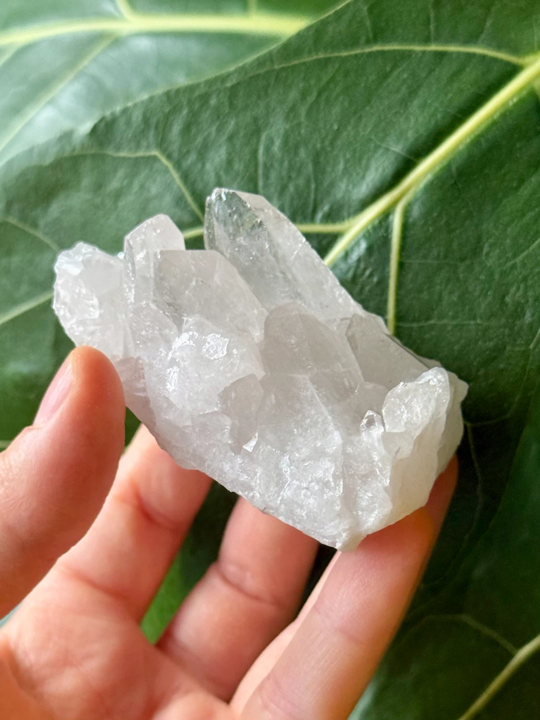 Brazilian Clear Quartz Terminated (6) Crystal Cluster - photo 4