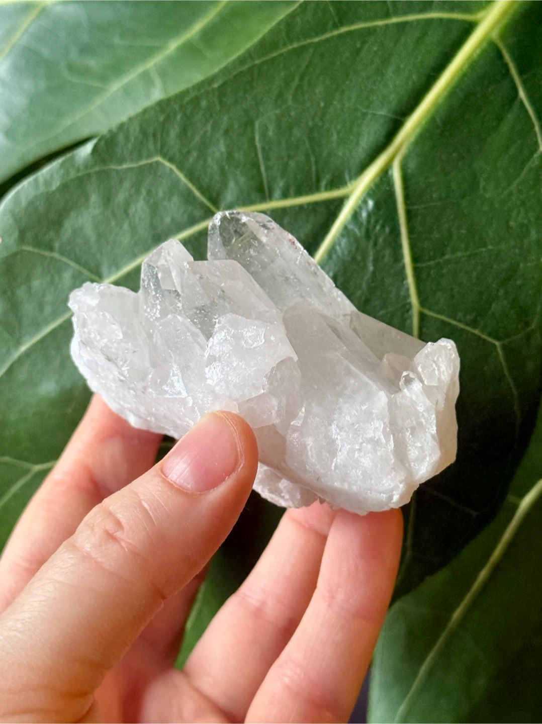 Brazilian Clear Quartz Terminated (6) Crystal Cluster - photo 5