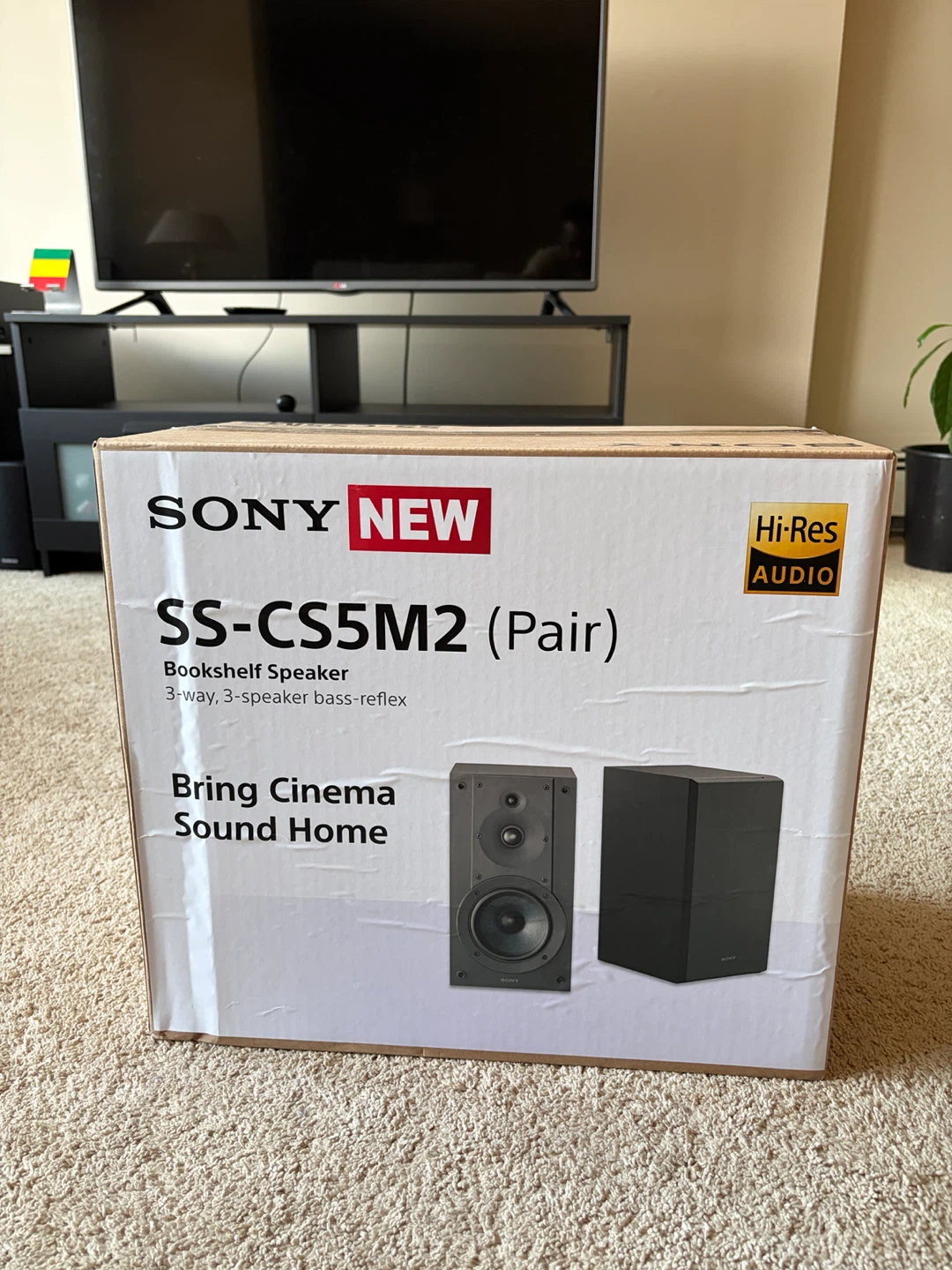 Sony SS-CS5M2 Bookshelf Speakers (Pair)
