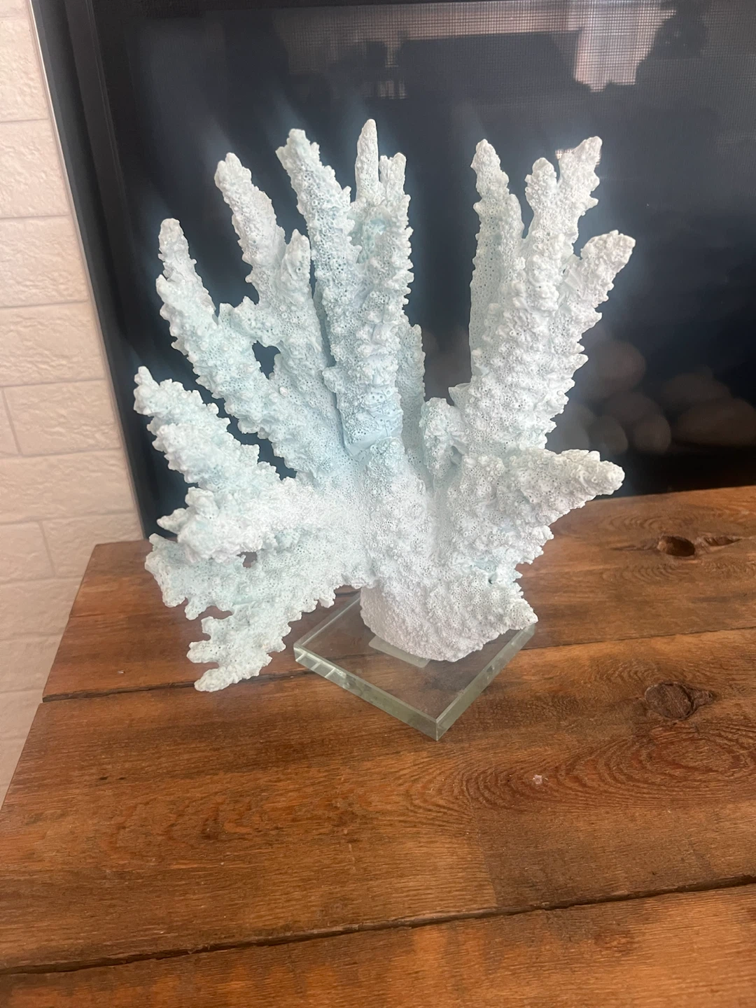 Decorative White and Blue Coral