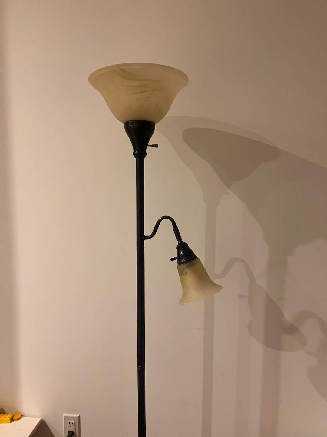 Black Floor Lamp with Frosted Shades