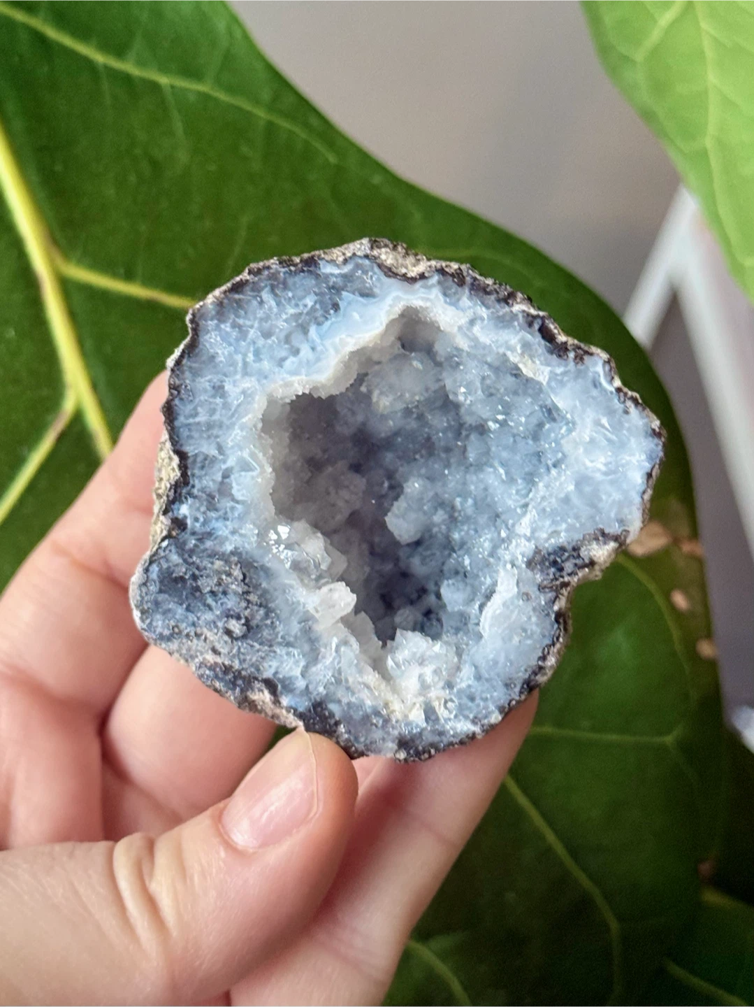 Trancas Geode Crystal From Chihuahua, Mexico