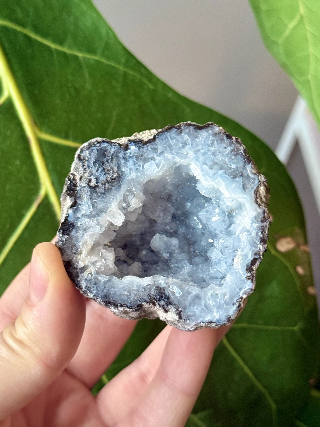 Trancas Geode Crystal From Chihuahua, Mexico - photo 2