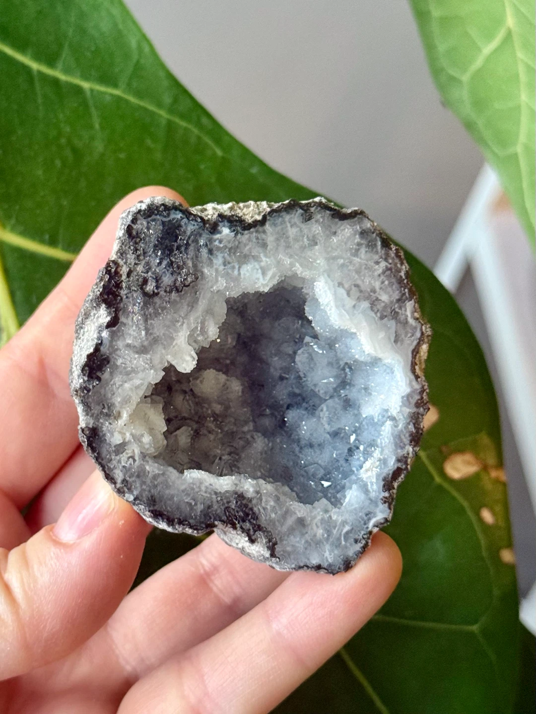 Trancas Geode Crystal From Chihuahua, Mexico - photo 3
