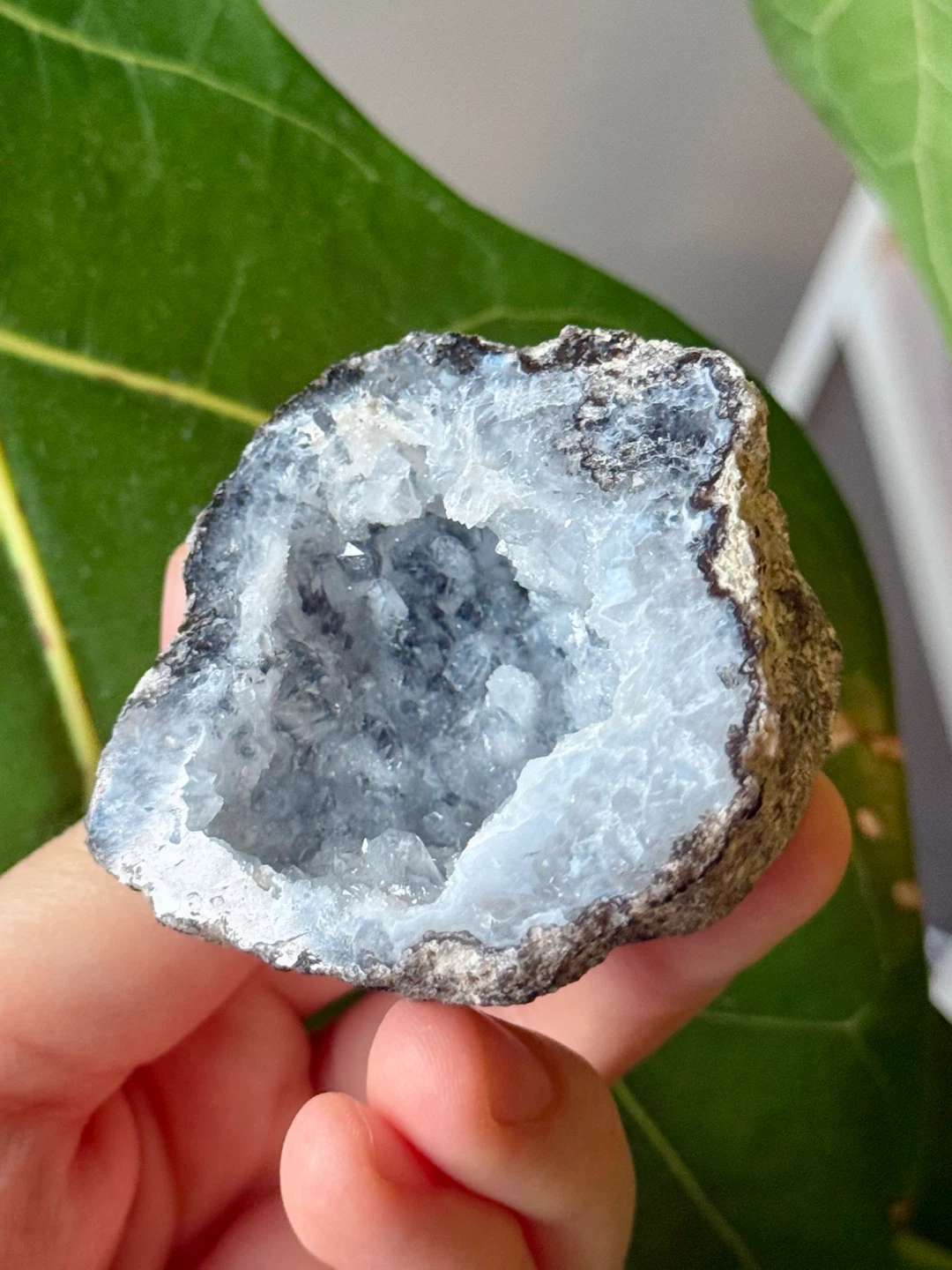 Trancas Geode Crystal From Chihuahua, Mexico - photo 4