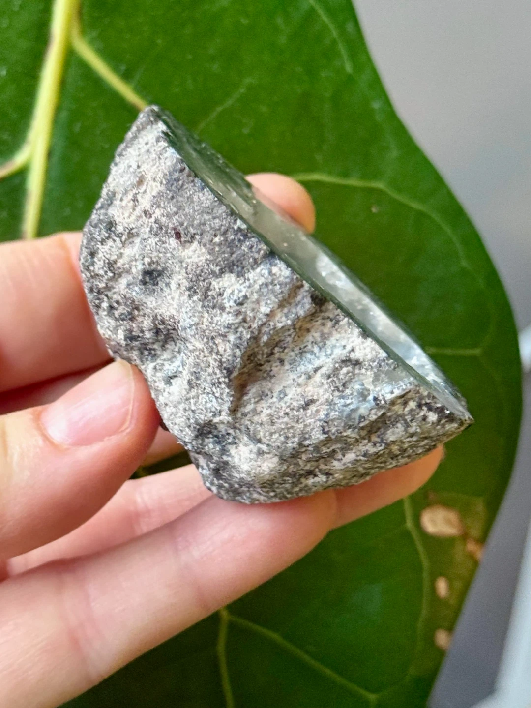 Trancas Geode Crystal From Chihuahua, Mexico - photo 5