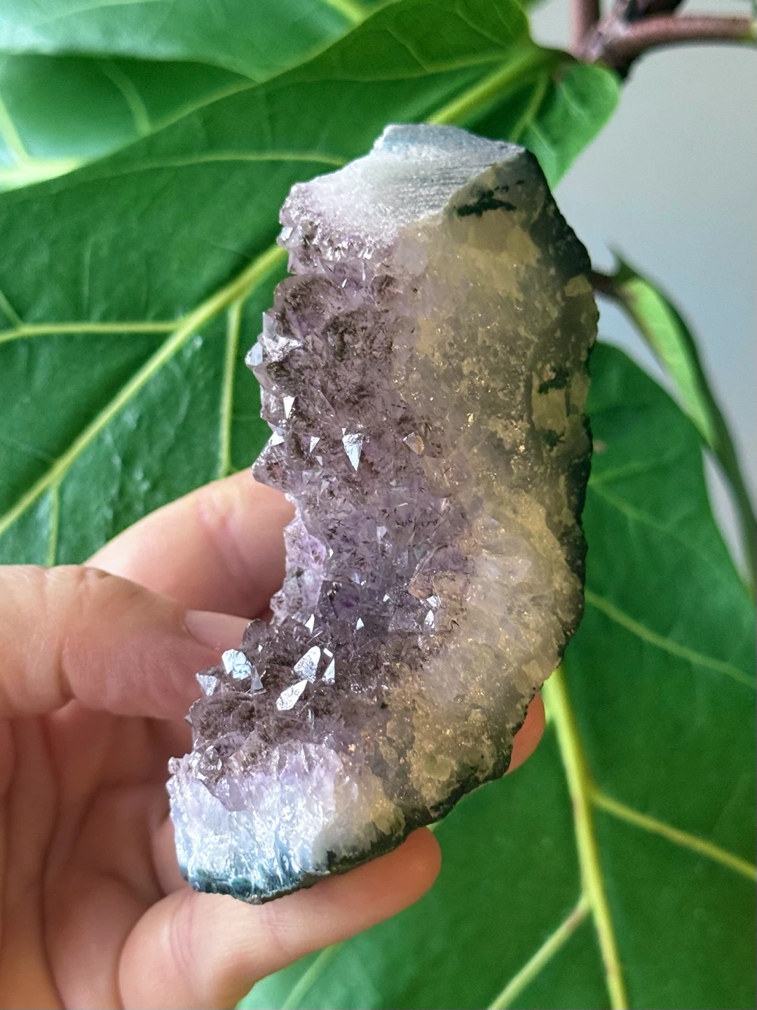 Raw Brazilian Curved Amethyst Crystal Specimen
