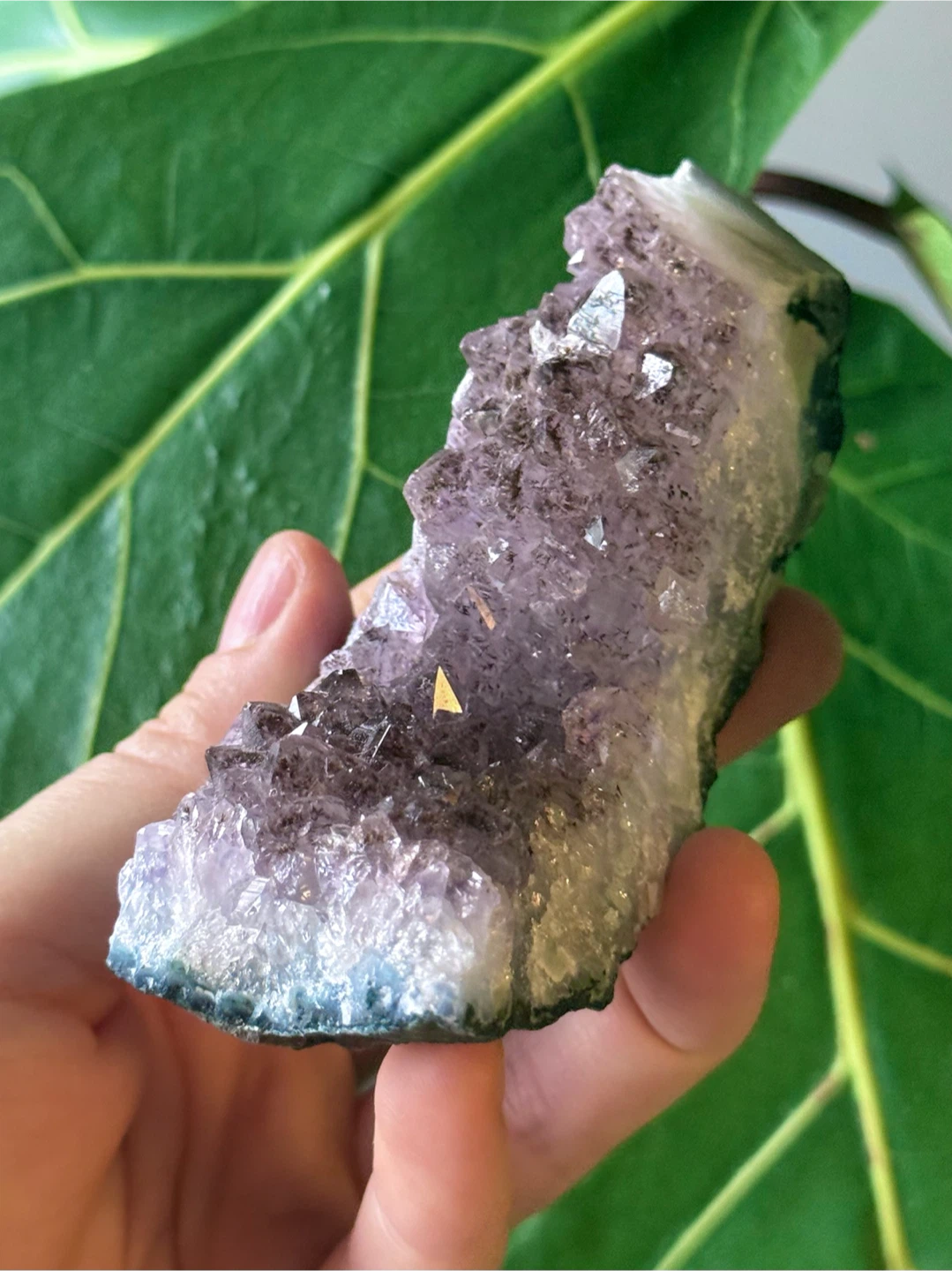 Raw Brazilian Curved Amethyst Crystal Specimen - photo 2