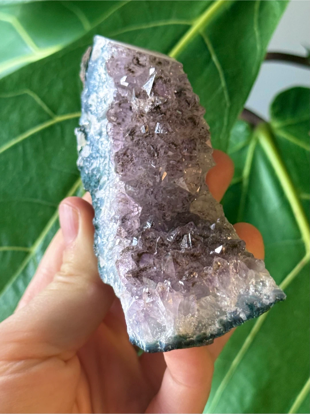Raw Brazilian Curved Amethyst Crystal Specimen - photo 3