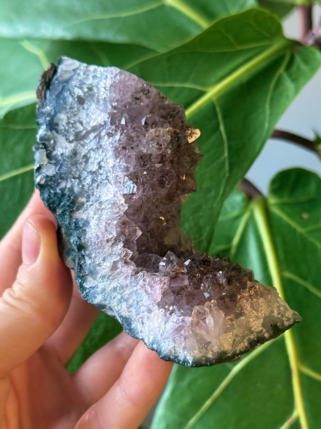 Raw Brazilian Curved Amethyst Crystal Specimen - photo 4