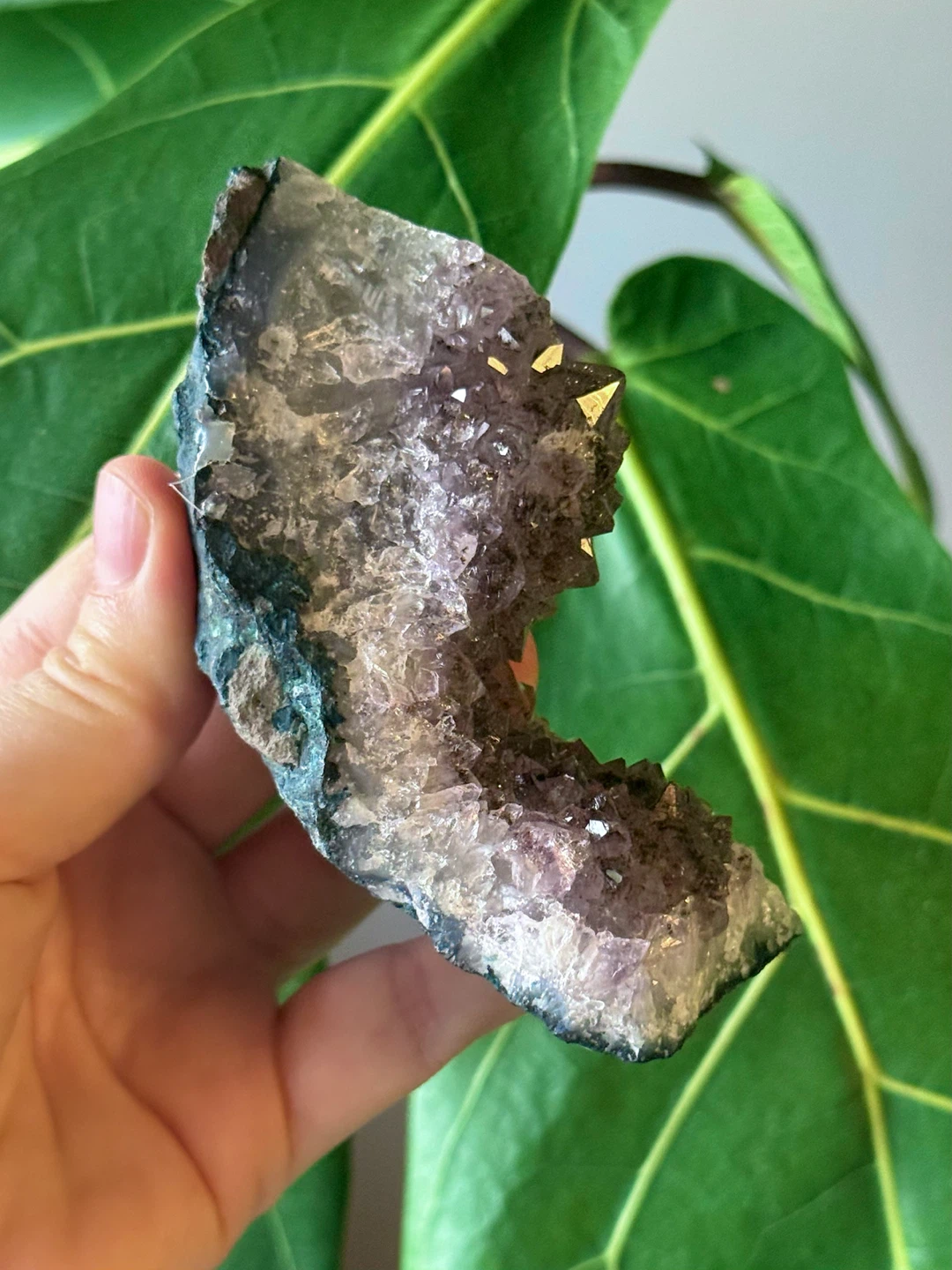 Raw Brazilian Curved Amethyst Crystal Specimen - photo 5