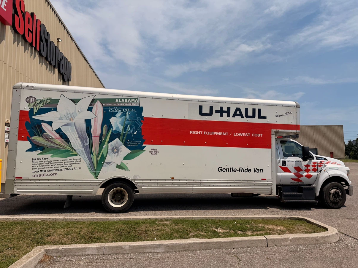 Moving help - photo 2