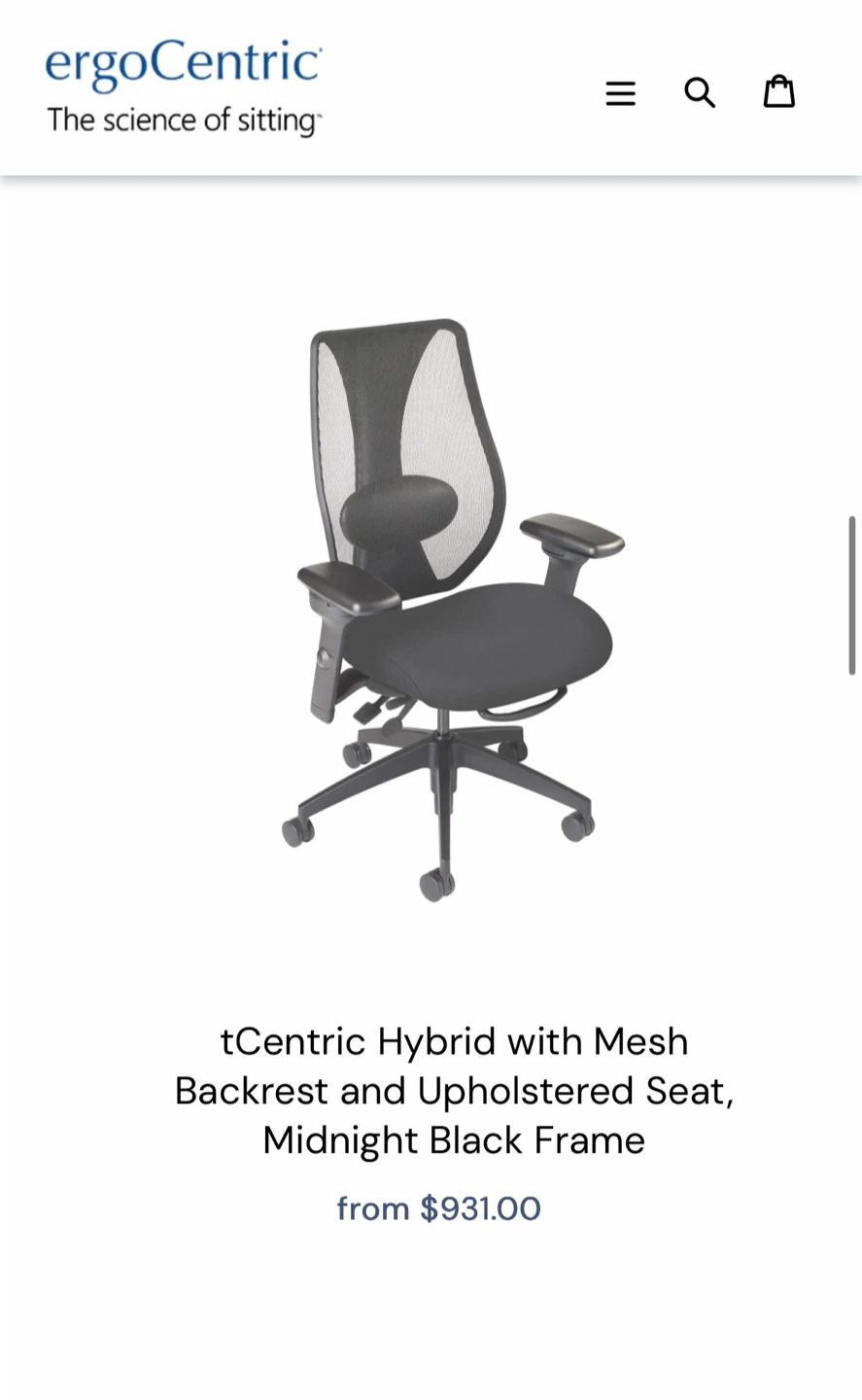 ErgoCentric tCentric Hybrid Office Chair