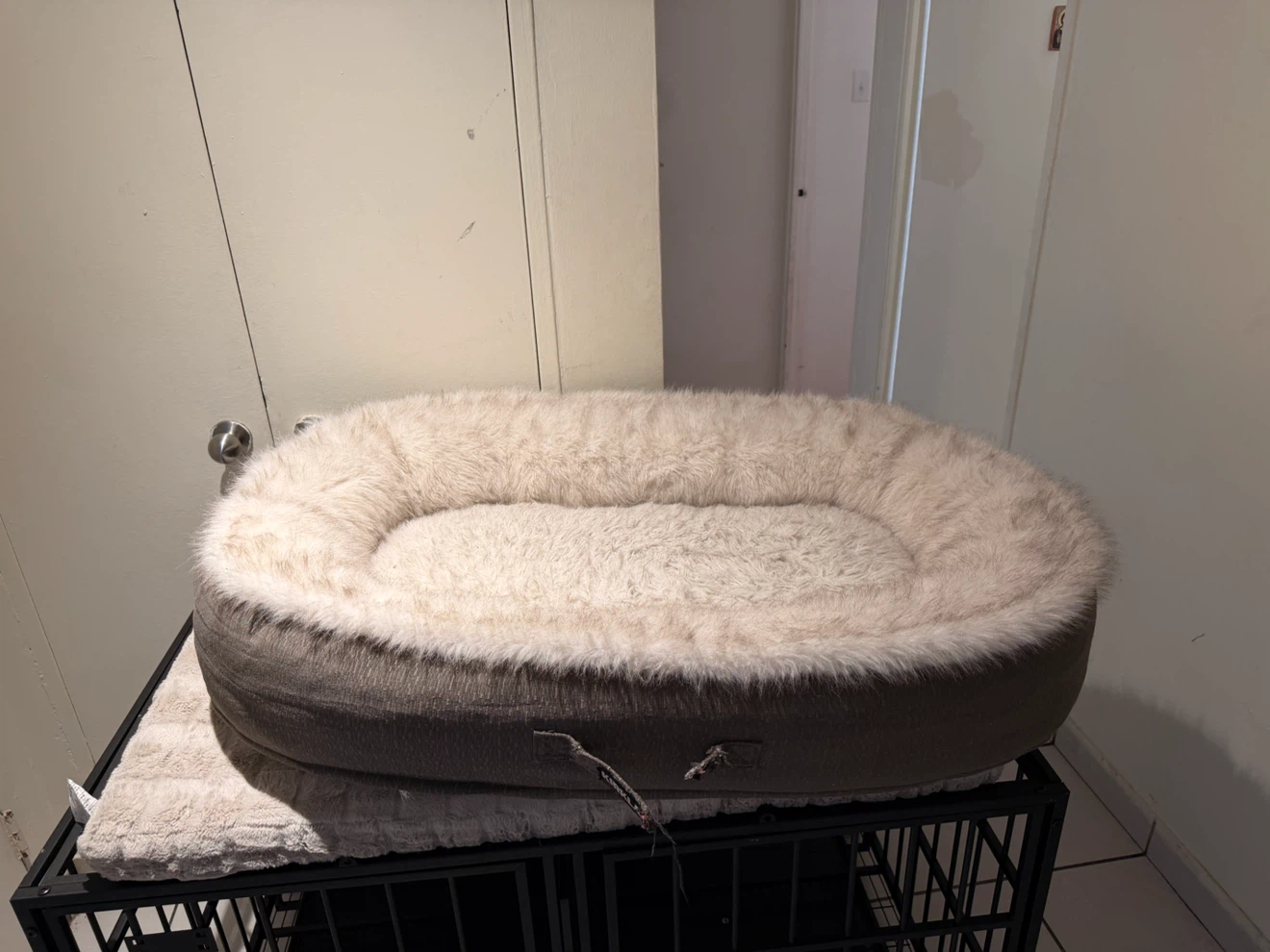 XL Heavy-Duty Dog Crate with Bed, Mat & Bowls