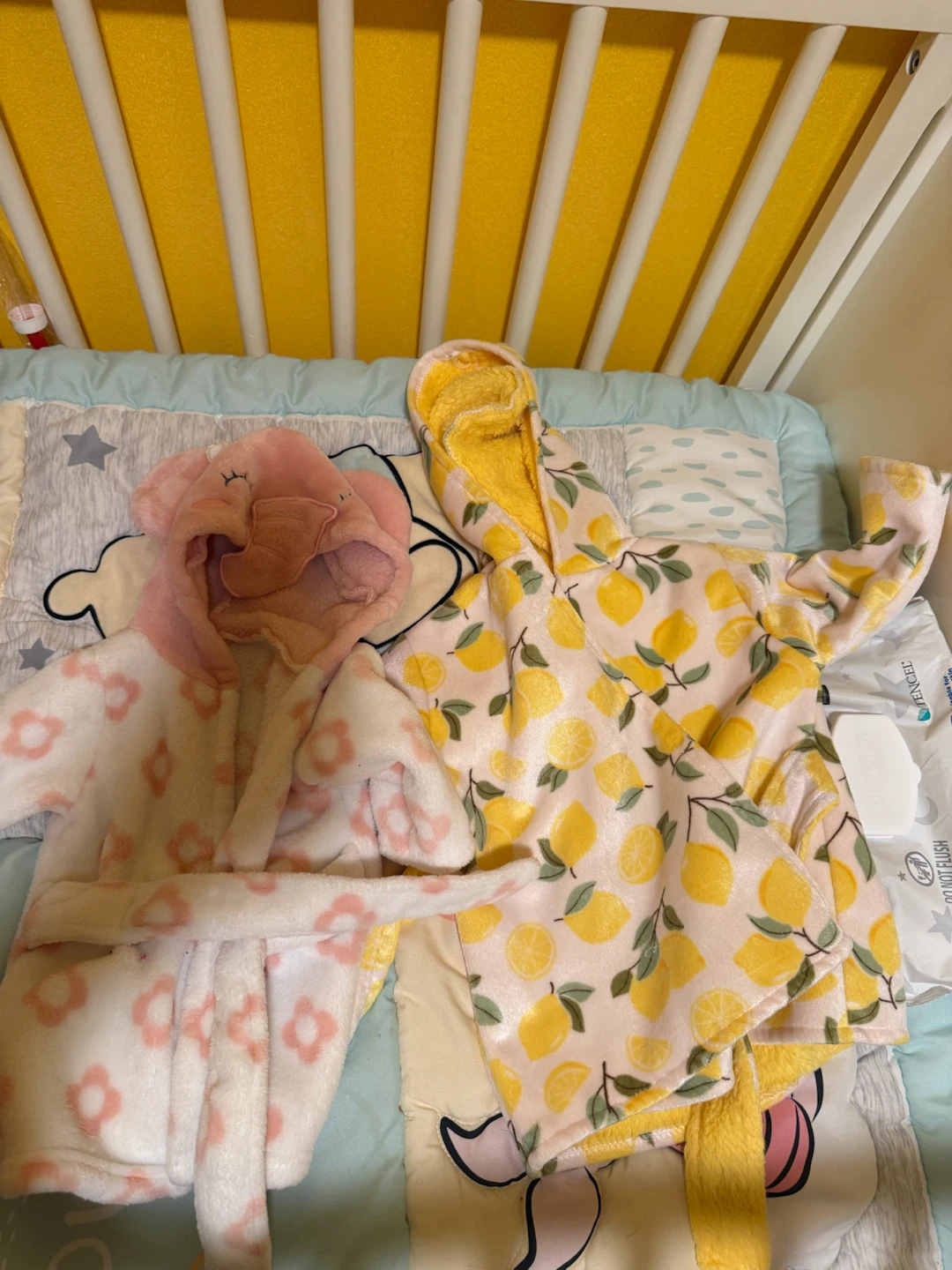 Children's Hooded Robes