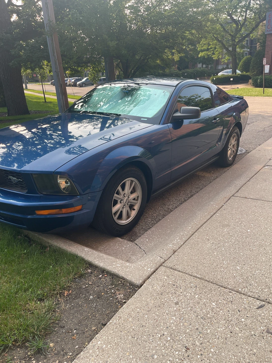 Blue Ford Mustang Coupe - photo 2