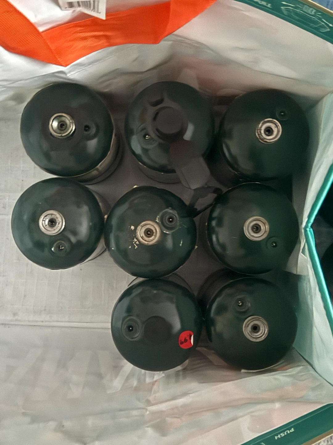 Bernzomatic Propane Camping Gas Canister