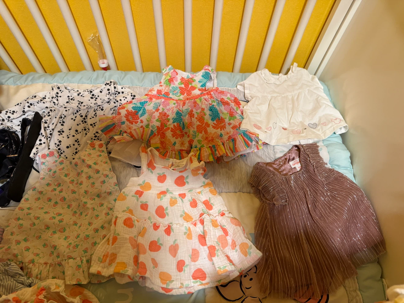 Baby Girl Dresses and Bottoms Bundle