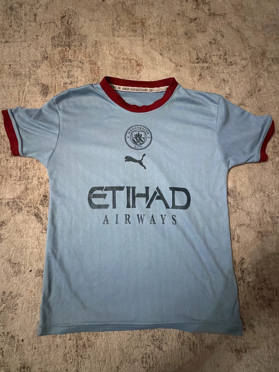 Puma Manchester City Haaland 9 Soccer Jersey
