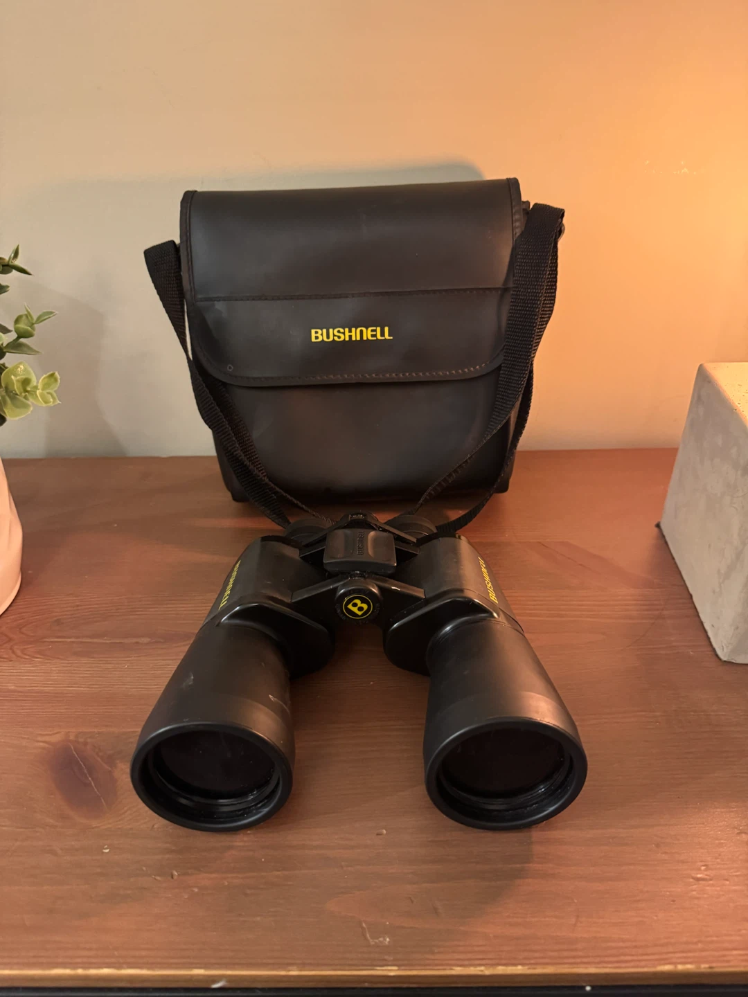 Bushnell 10x50 Binoculars with Original Carrying Case