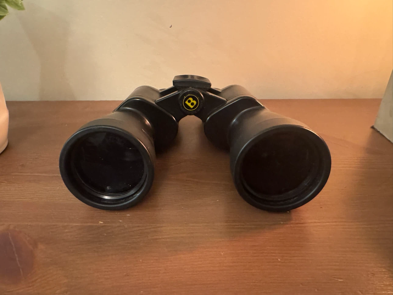 Bushnell 10x50 Binoculars with Original Carrying Case - photo 2