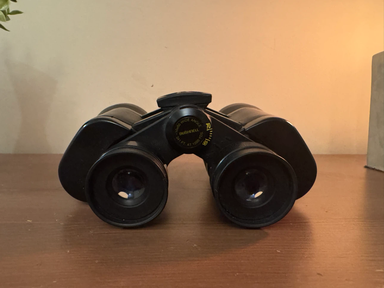 Bushnell 10x50 Binoculars with Original Carrying Case - photo 3