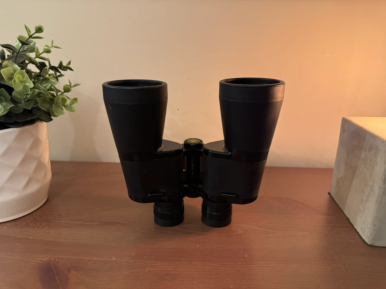 Bushnell 10x50 Binoculars with Original Carrying Case - photo 4