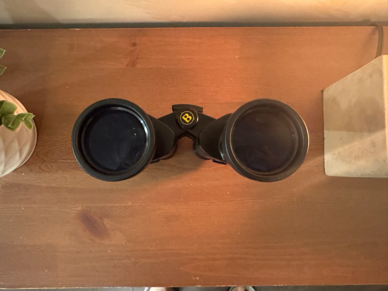 Bushnell 10x50 Binoculars with Original Carrying Case - photo 5