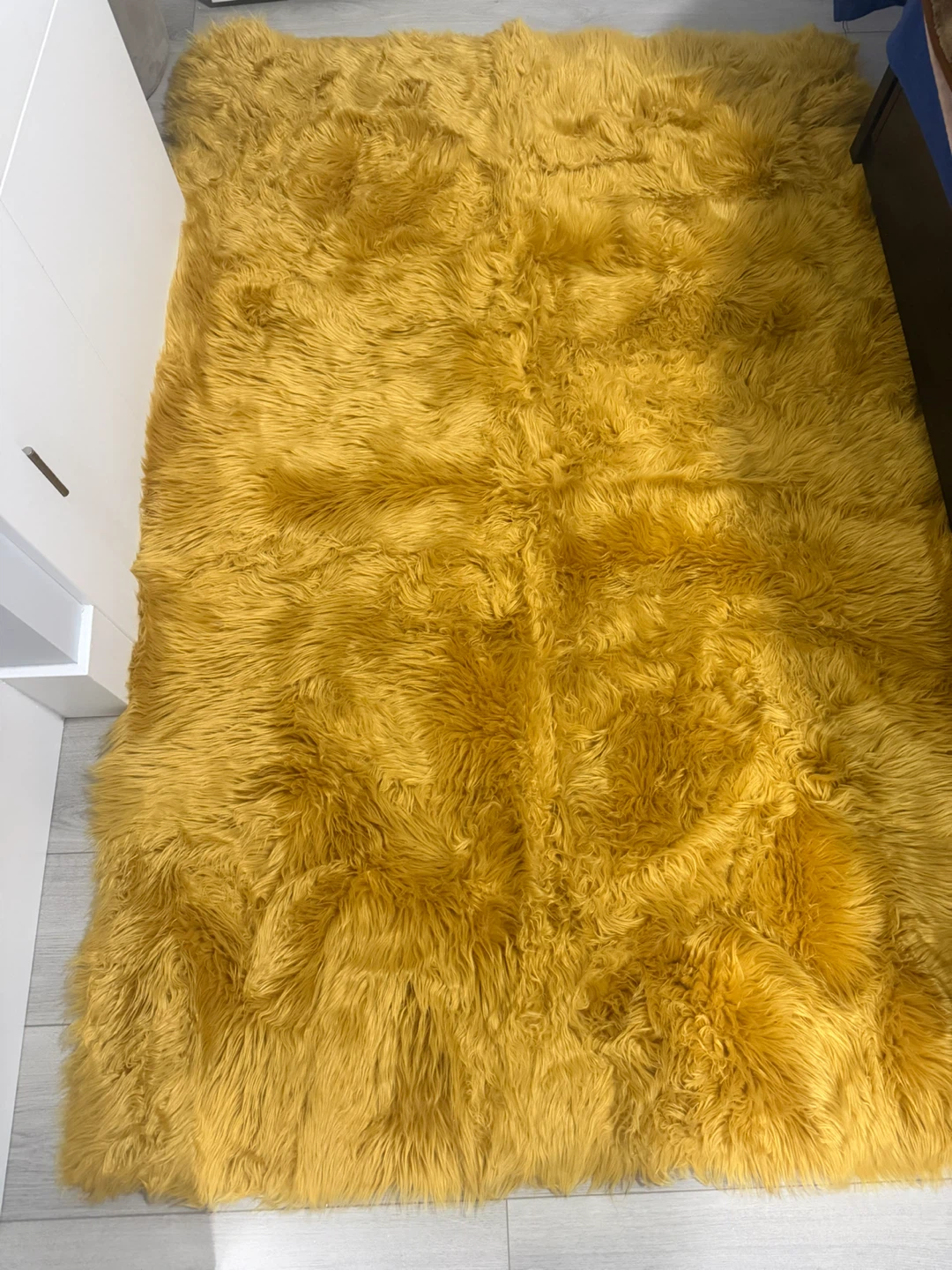 Silhouette Home Accent Rug - 4' x 6'