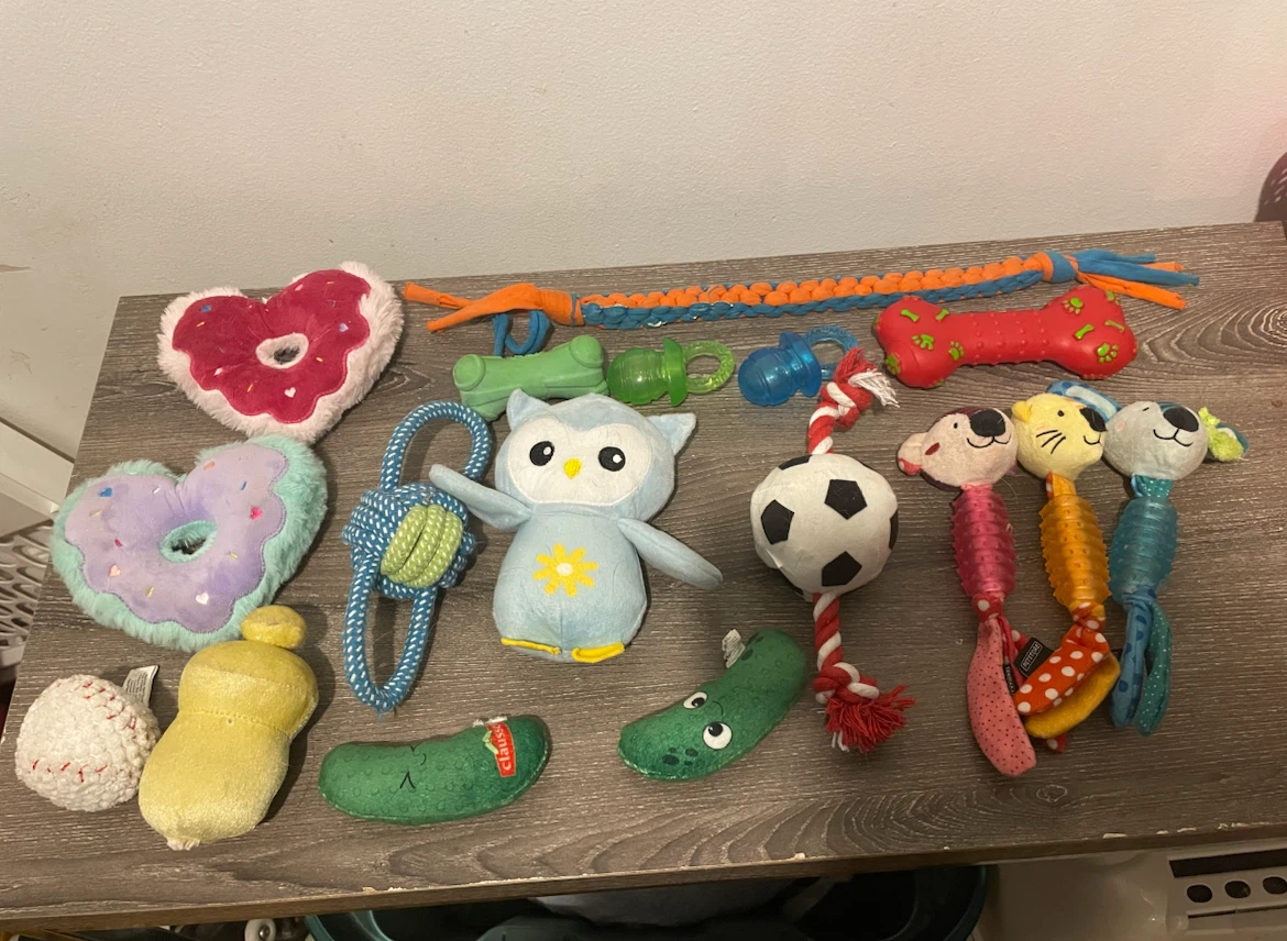 17pc Small Dog Toys Lot