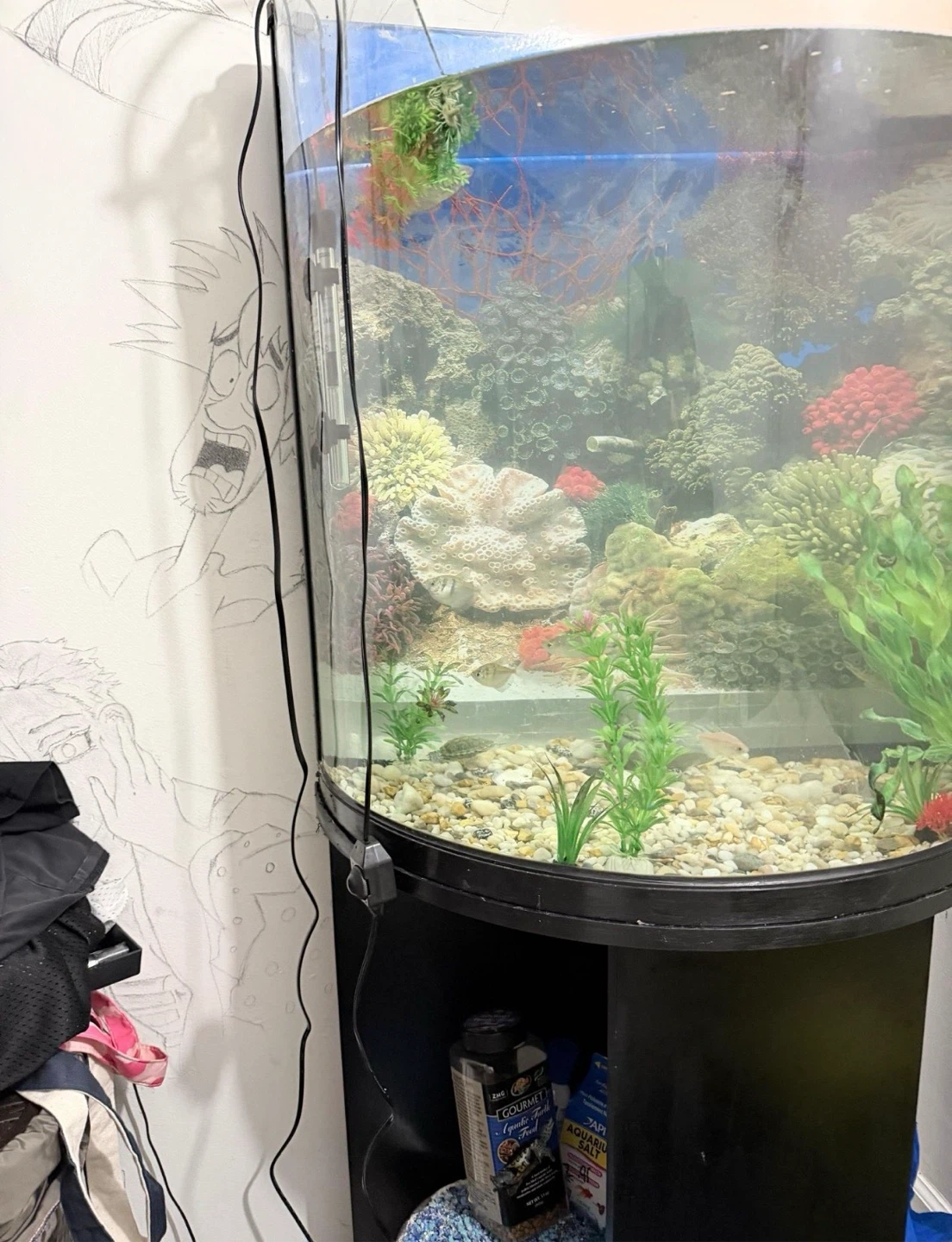 Tall Curved Aquarium Fish Tank - photo 3