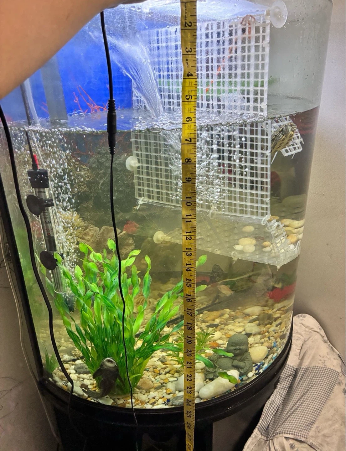 Tall Curved Aquarium Fish Tank - photo 4
