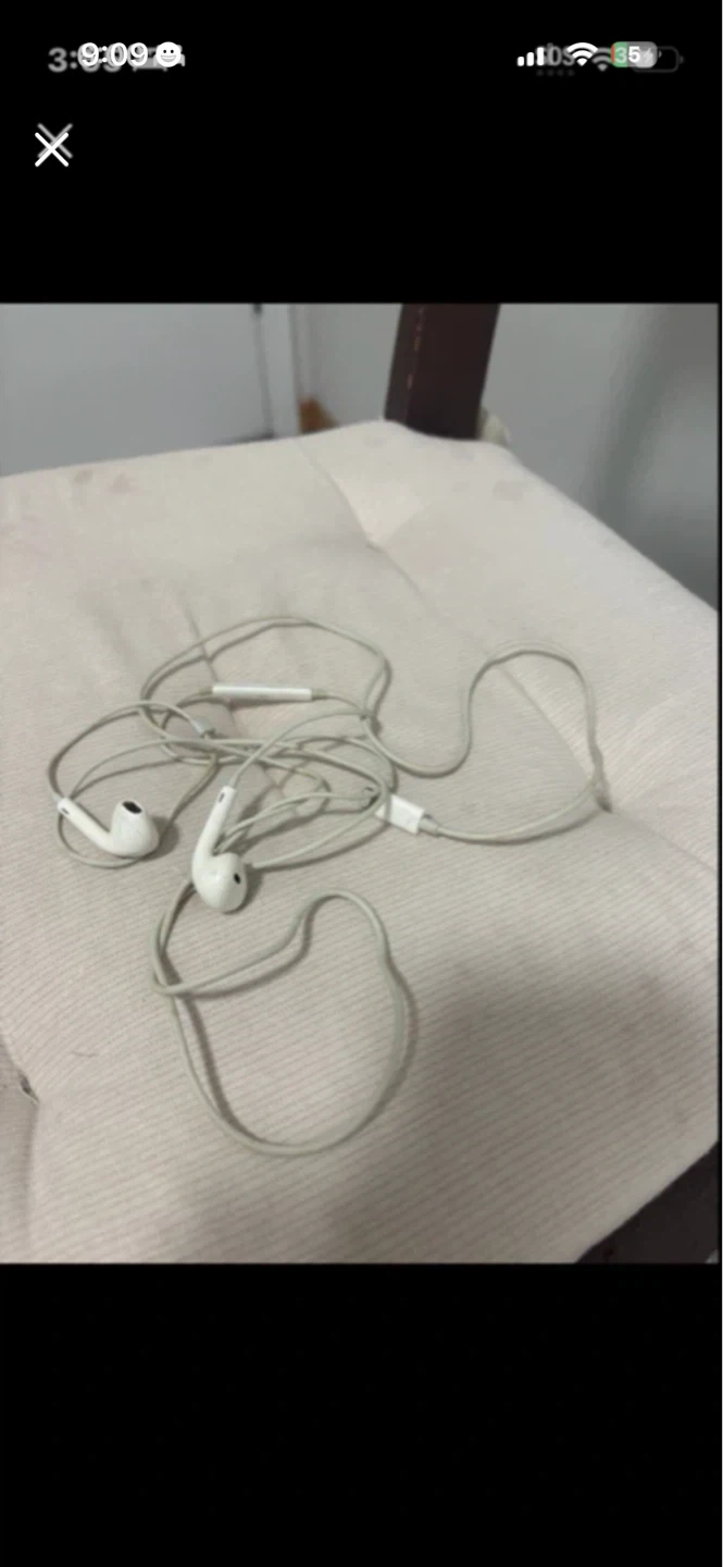 Apple EarPods