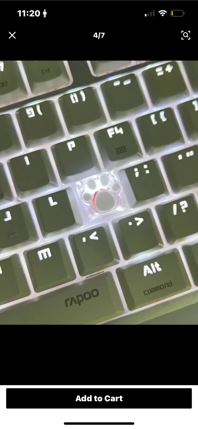Decorative Clear Keycap with Paw Print