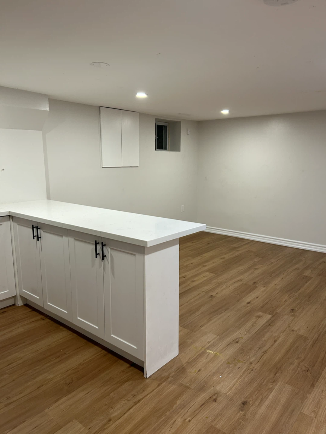 2 bedrooms basement apartment in Port Credit area for rent - photo 5