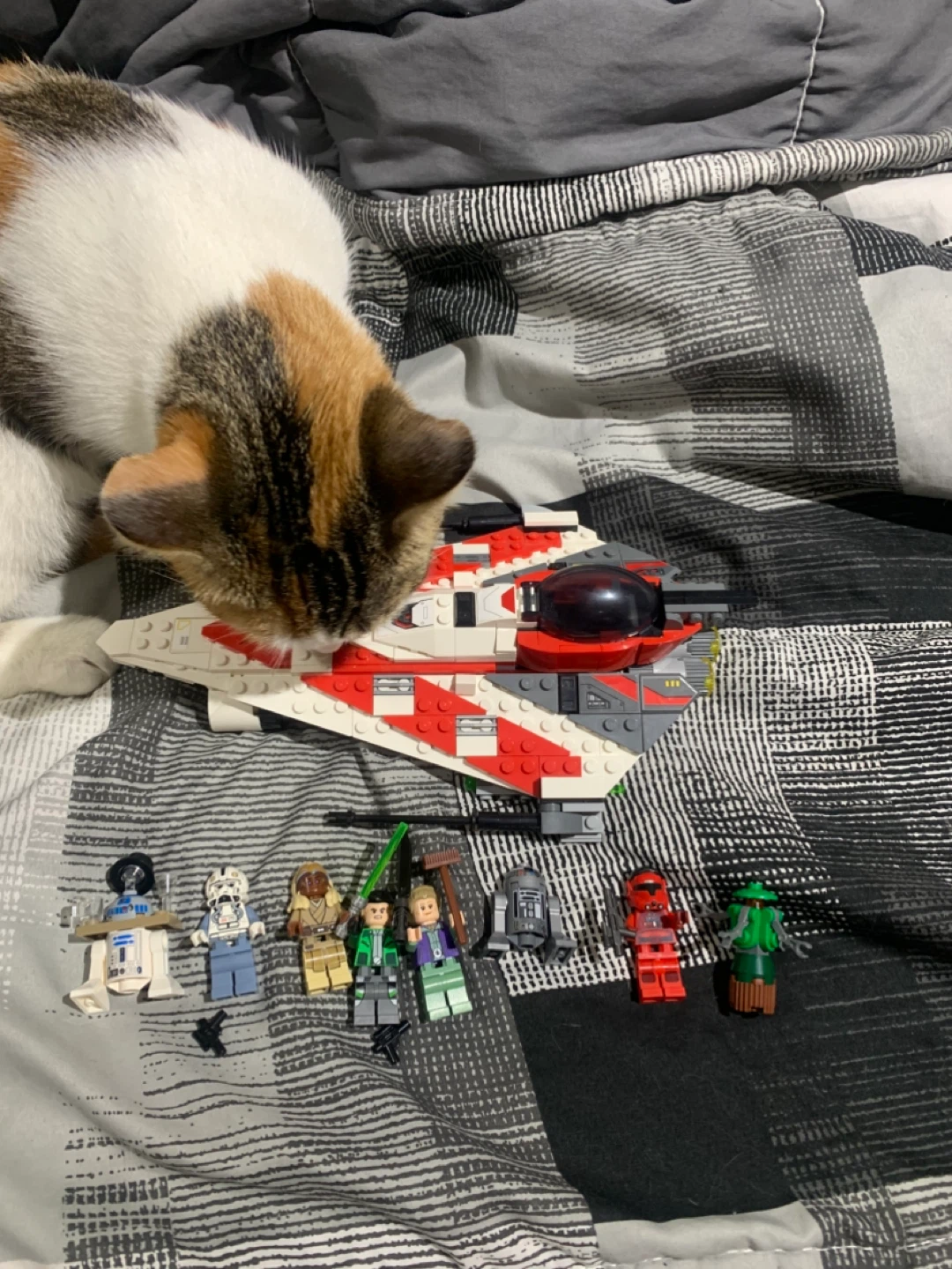 STAR WARS LEGO FOR KITTEN SURGERY