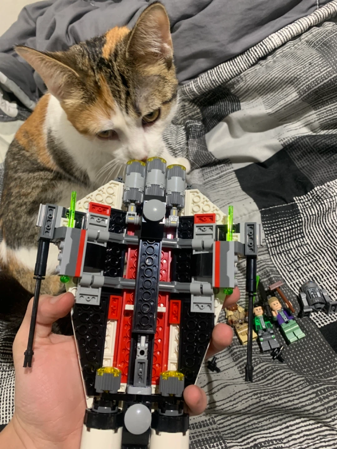 STAR WARS LEGO FOR KITTEN SURGERY - photo 3