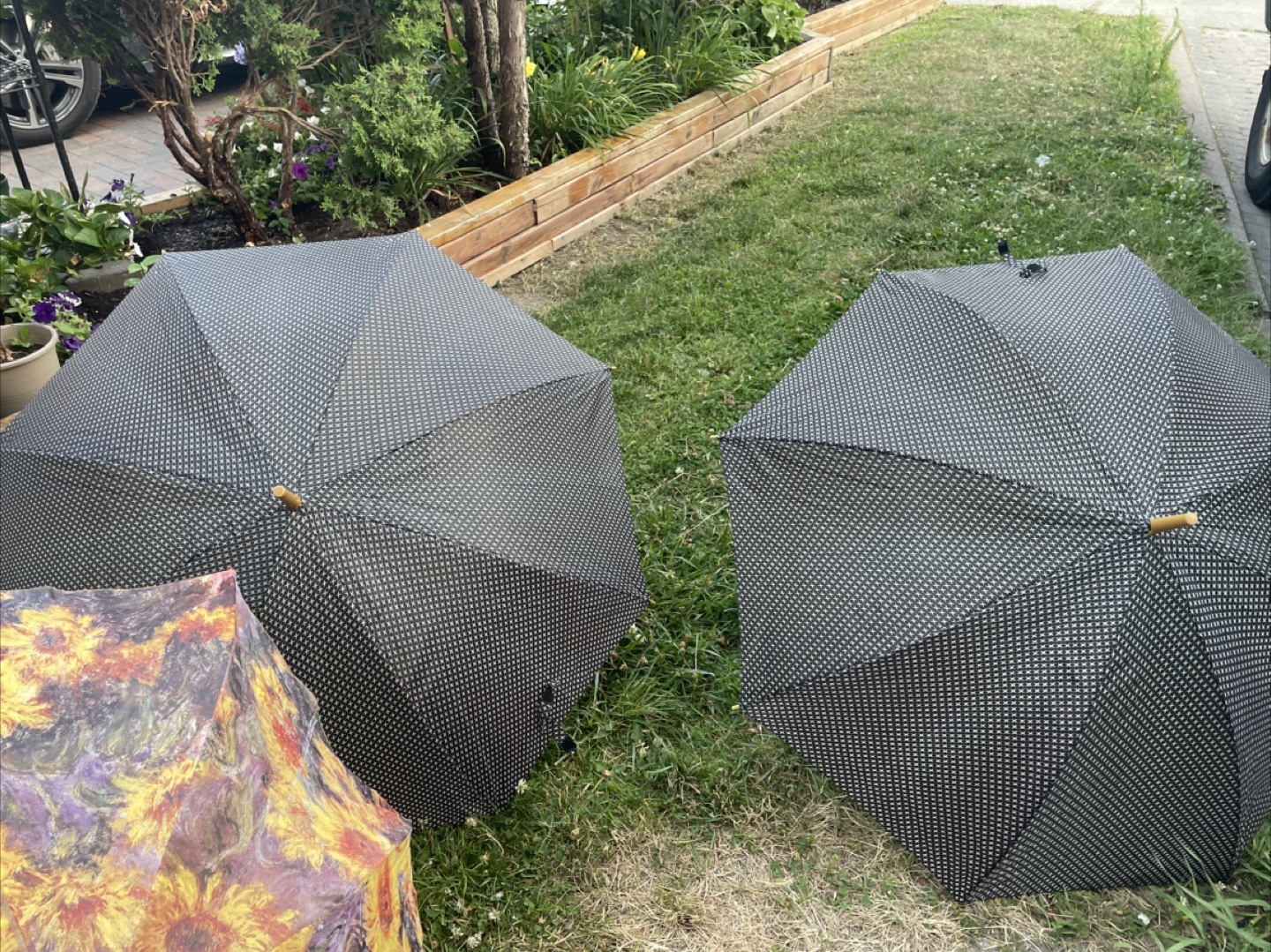 Patterned Umbrella - photo 2