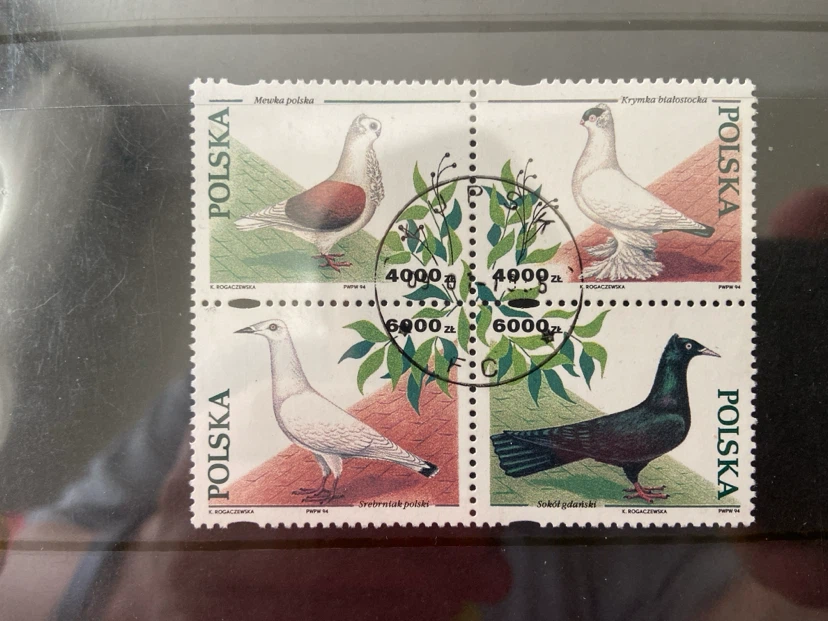 Poland Pigeon Stamps