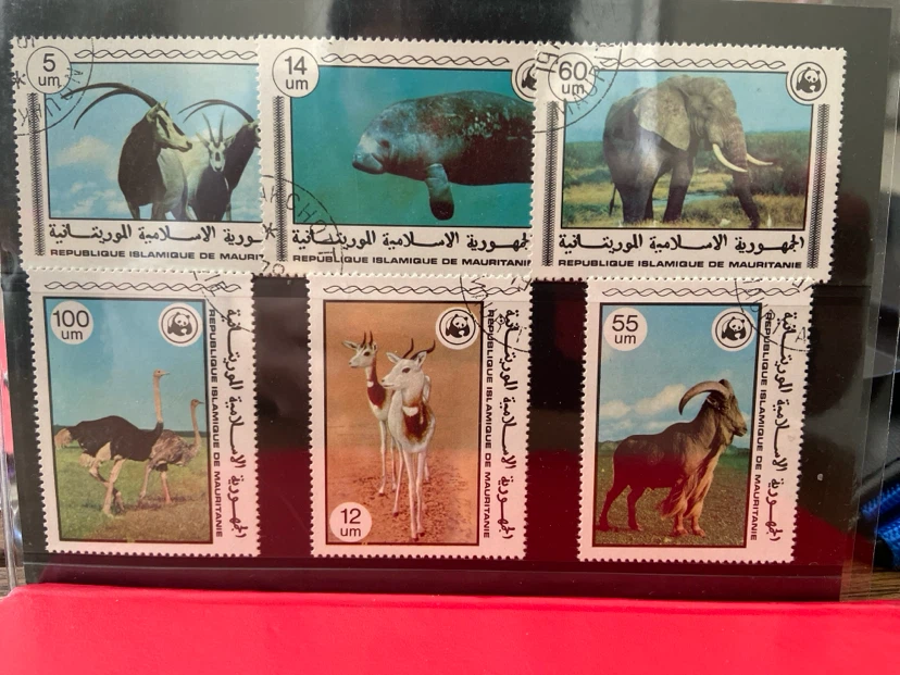 Collection of 6 Mauritania Wildlife Stamps