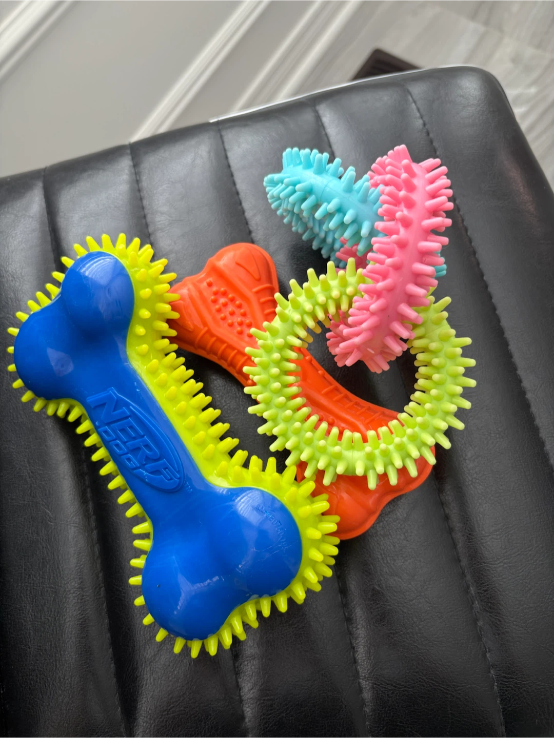 NERF Dog Rubber Bone Toy & Spiky Rings