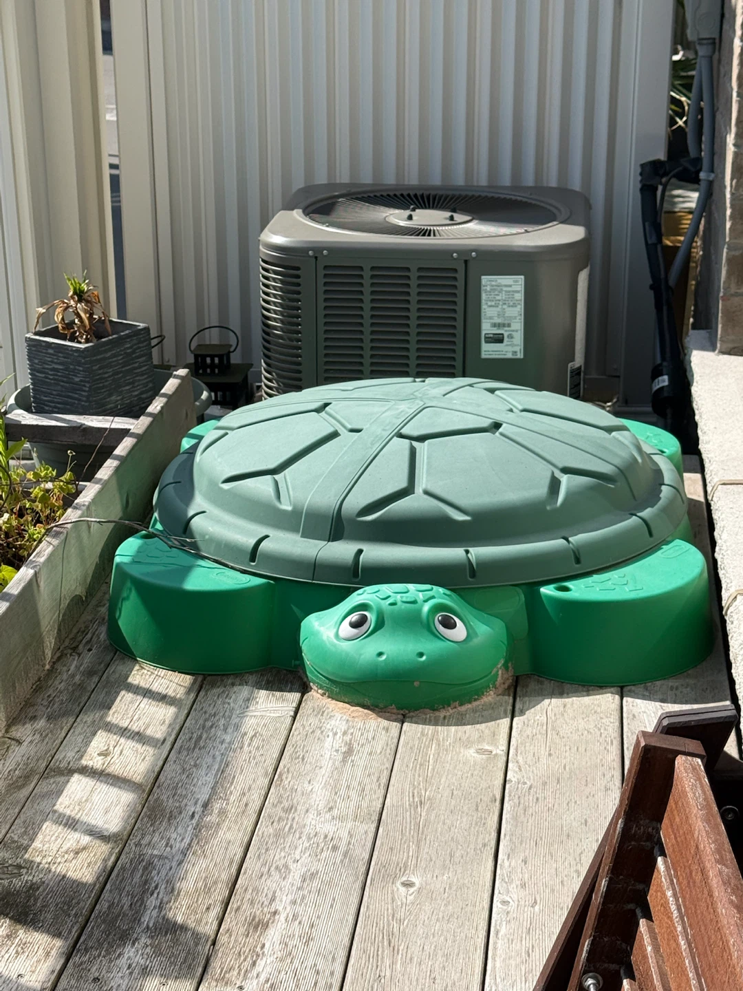 Green Turtle Sandbox