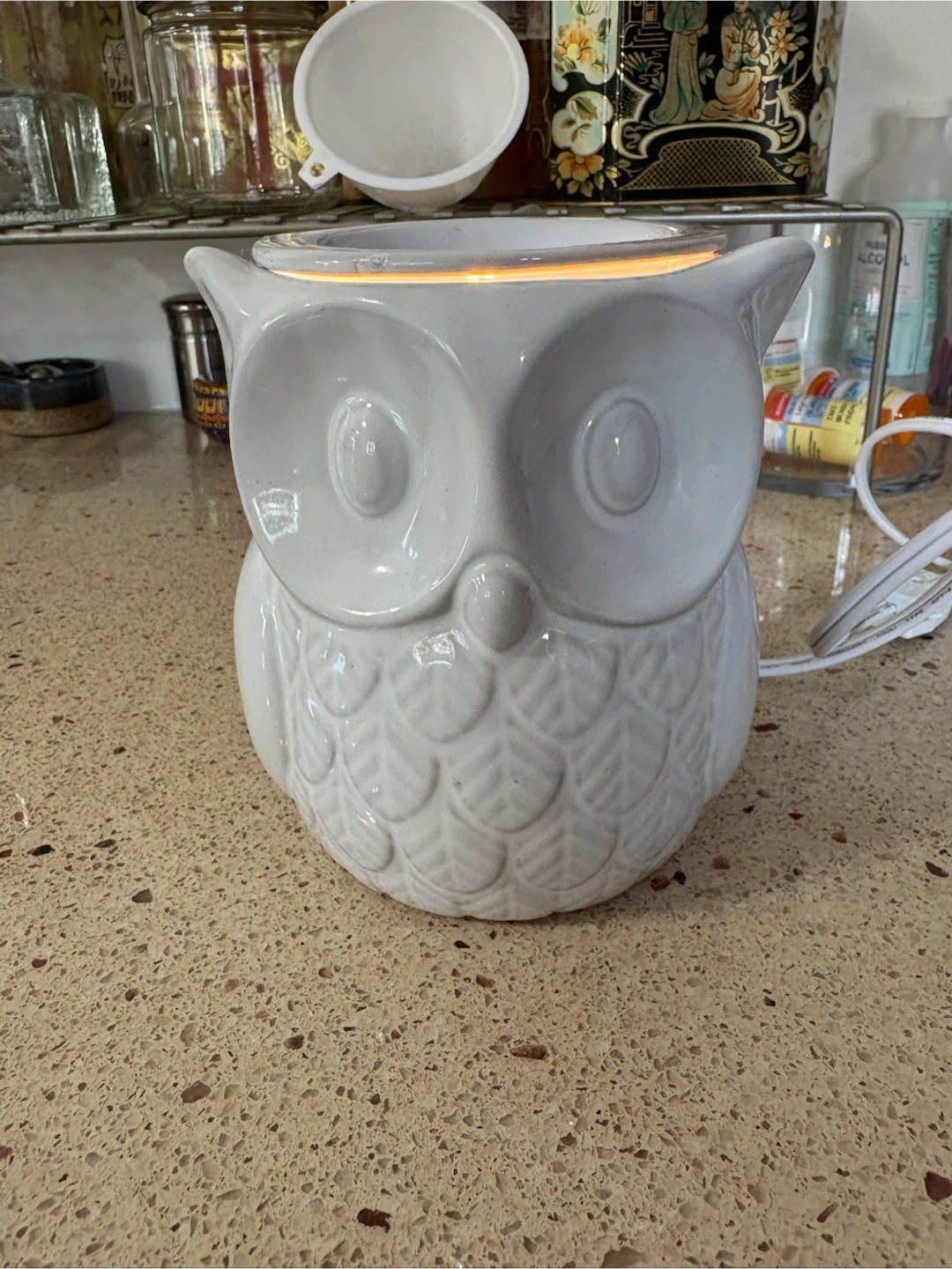 Owl Wax Melt Warmer