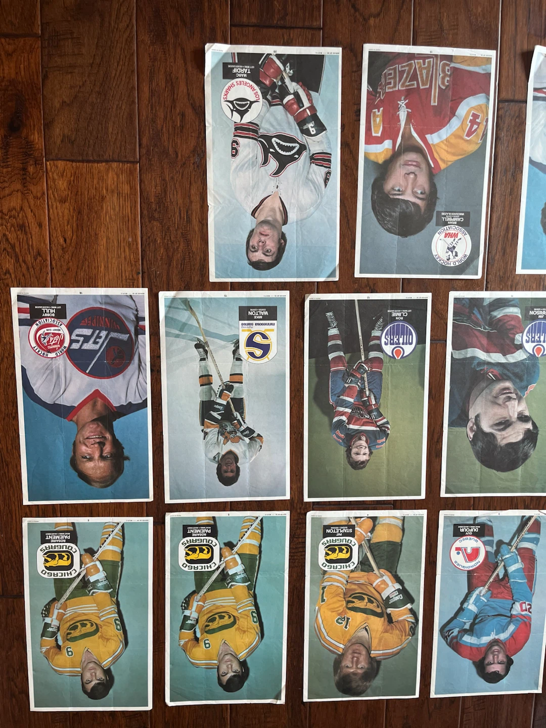 1973-74 OPC O-PEE-CHEE WHA Hockey Insert Mini Posters - photo 2