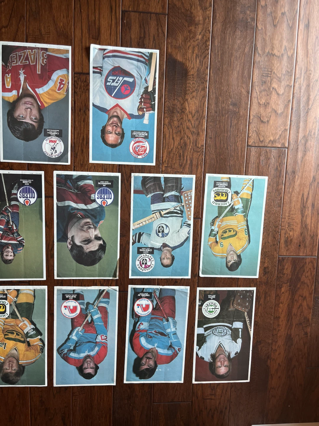 1973-74 OPC O-PEE-CHEE WHA Hockey Insert Mini Posters - photo 3