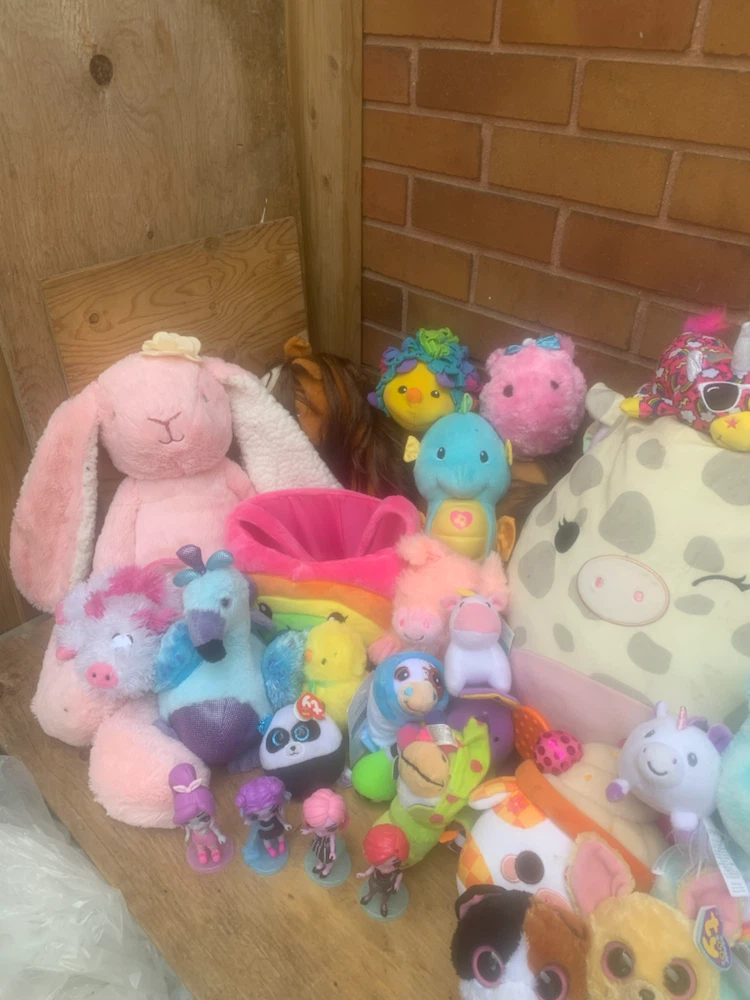 Assorted Plush Toys Bundle - photo 3