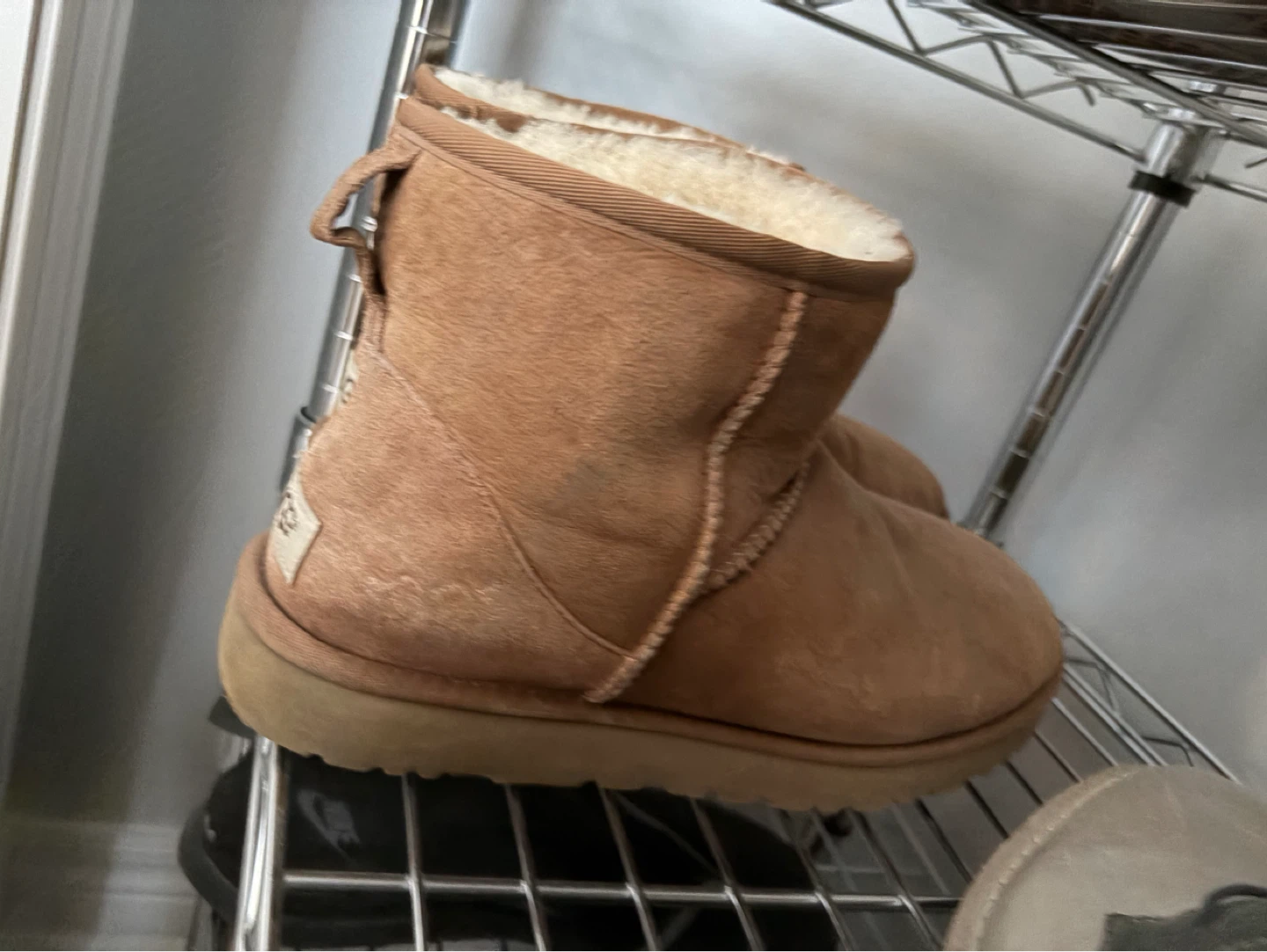 UGG Mini Boots